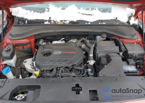 2020 Hyundai Santa Fe Sel 2.0T z USA, uszkodzony, nr VIN 5NMS3CAAXLH191276